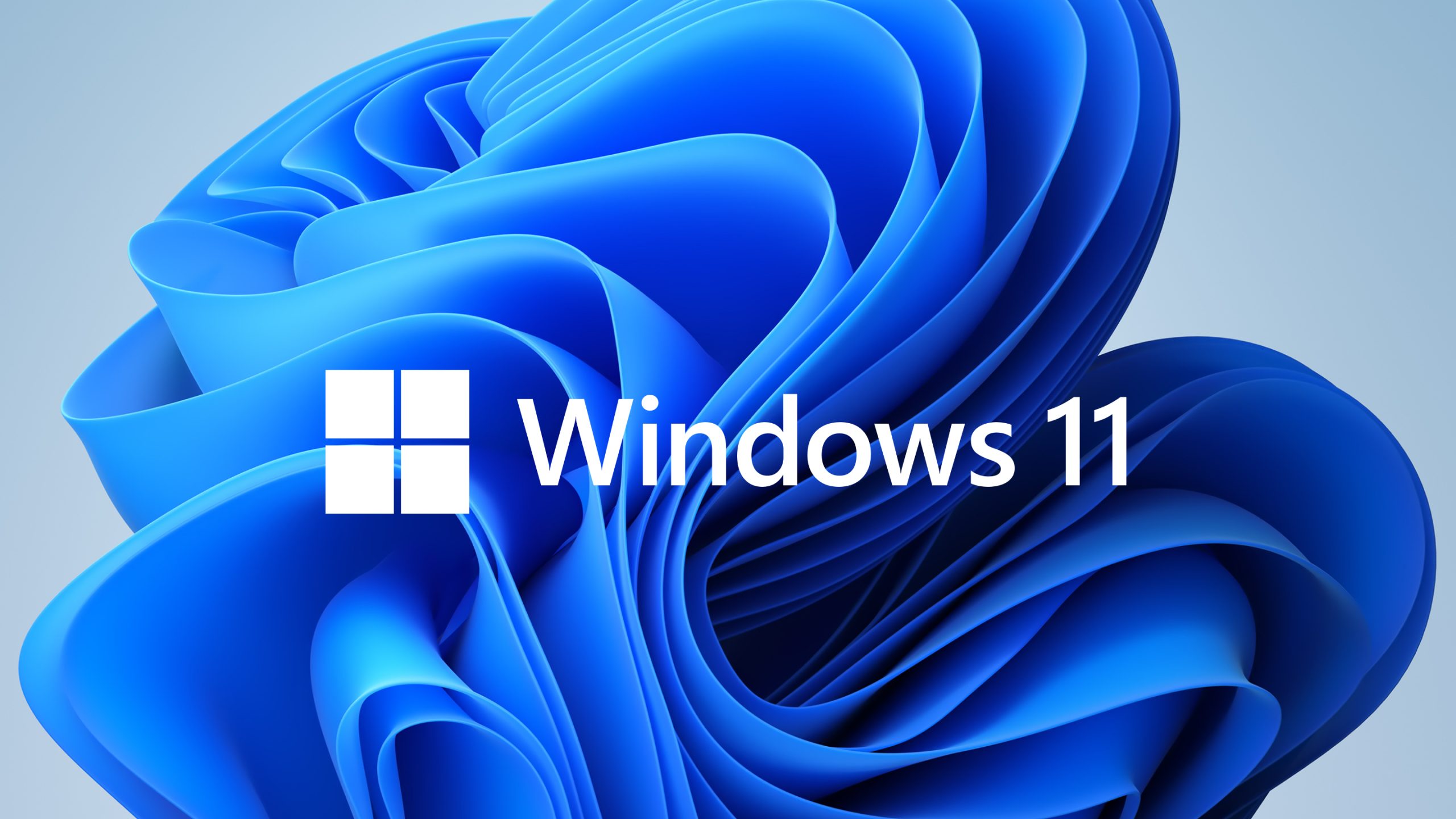 Microsoft Windows 11 Pro Digital Download